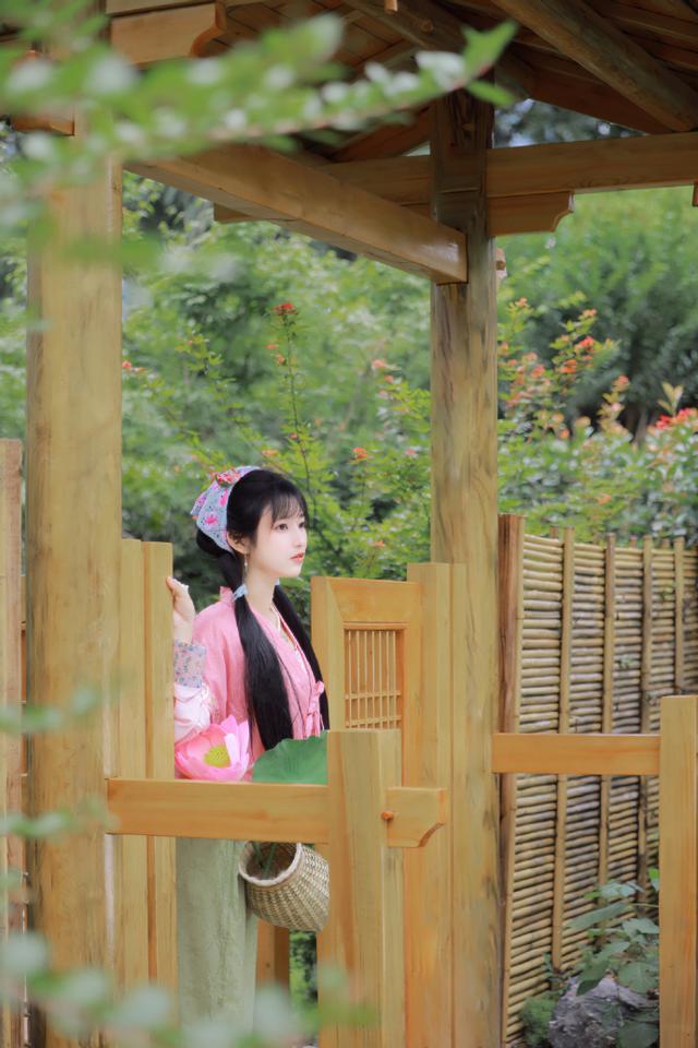 大象视频经典回顾
